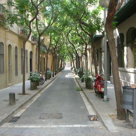 Groc Maiol Appartamento Barcellona Esterno foto